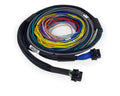 Haltech Nexus S3/S2 Universal Wire-In Harness - 2.5M  (8)