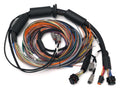 Haltech Nexus R3  Universal Wire-in Harness - 2.5m (8) Length: 2.5M