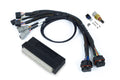 Haltech Nexus S2/S3 Plug 'n' Play Adapter Harness - Honda EP3