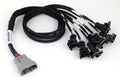 Haltech Nexus V8 Junior Timer (EV1) Injector Primary Breakout