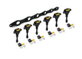Haltech R35 Coil Bracket for Nissan RB20/25/26 includes bracket coils and connectors