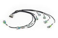 Haltech Nexus Rebel LS - LS EV6 Injector Sub-Harness