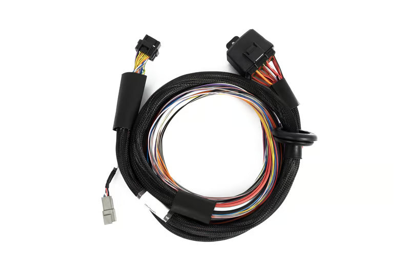 Haltech Nexus T2 / T1 Premium Universal Wire-in Harness