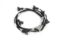 Haltech i6 Timer (EV1) Primary Injector Harness