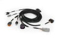 Haltech Nexus Plug-in DBW Expansion Harness 2.5m (8)