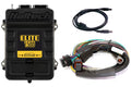 Haltech Elite 1500 + Basic Universal Wire-in Harness Kit 2.5m