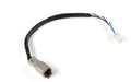 Haltech CAN Adaptor Loom (DTM-4 to Minifit Jr) - Suits Microtech