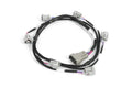 Haltech i6 Sumitomo (Denso) Primary Injector Harness