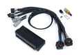 Haltech Nexus S2/S3 Plug 'n' Play Adapter Harness - Honda AP1 SS3