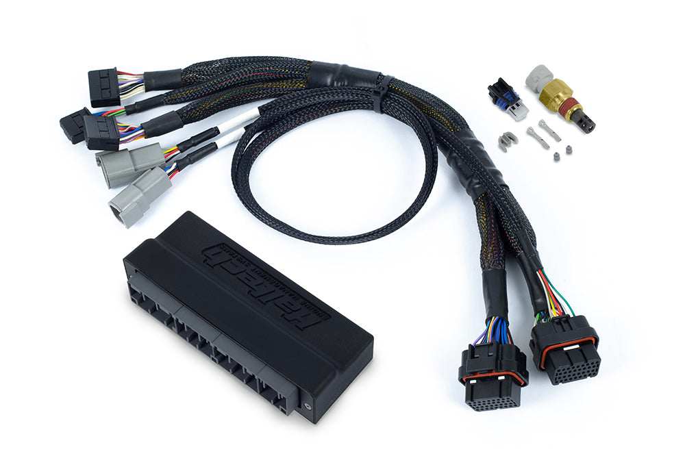 Haltech Nexus S2/S3 Plug 'n' Play Adapter Harness - Honda AP1 SS3