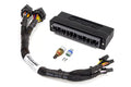 Haltech Elite 1000/1500 Plug 'n' Play Adapter Harness Only - Honda AP1 S2000